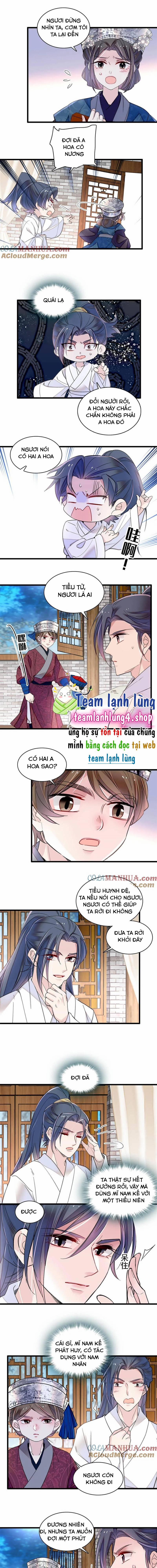 Tự Cẩm 290 trang 3