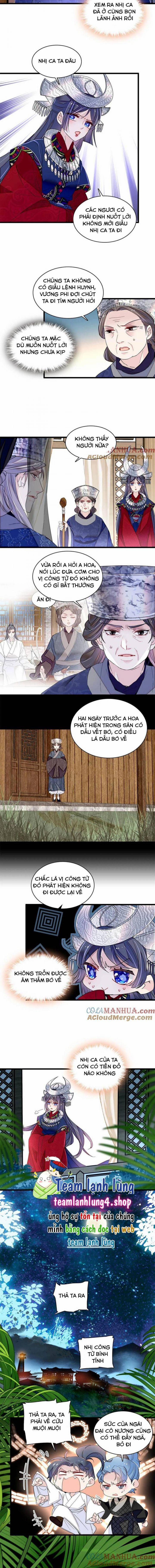 Tự Cẩm 291 trang 4