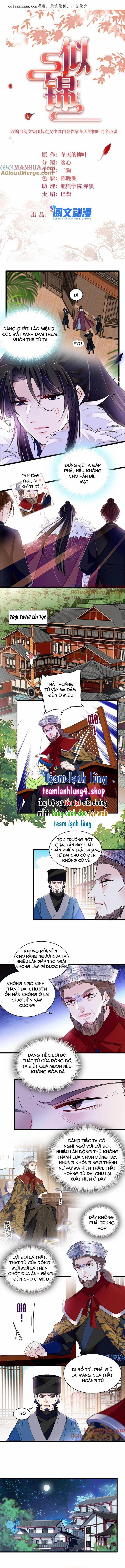 Tự Cẩm 294 trang 1