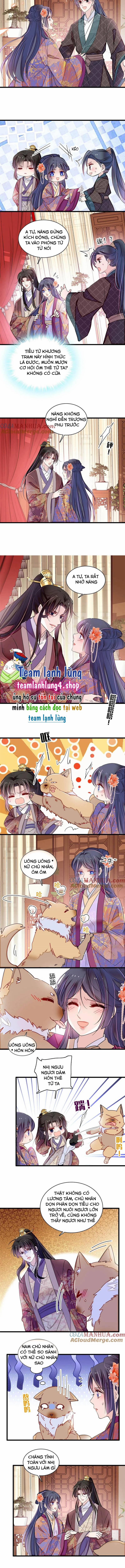Tự Cẩm 304 trang 2