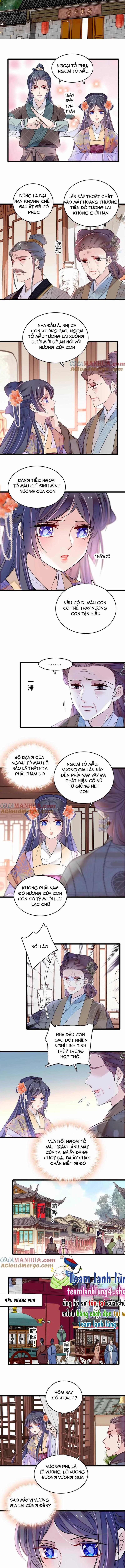 Tự Cẩm 305 trang 2