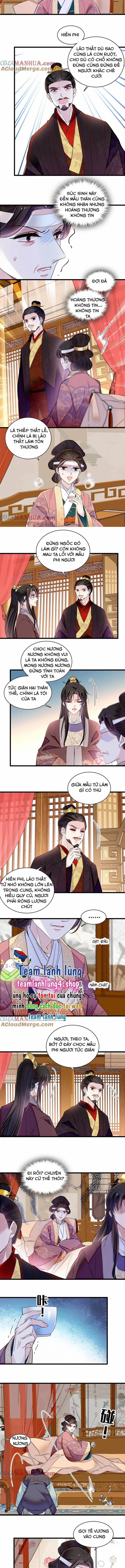 Tự Cẩm 309 trang 4