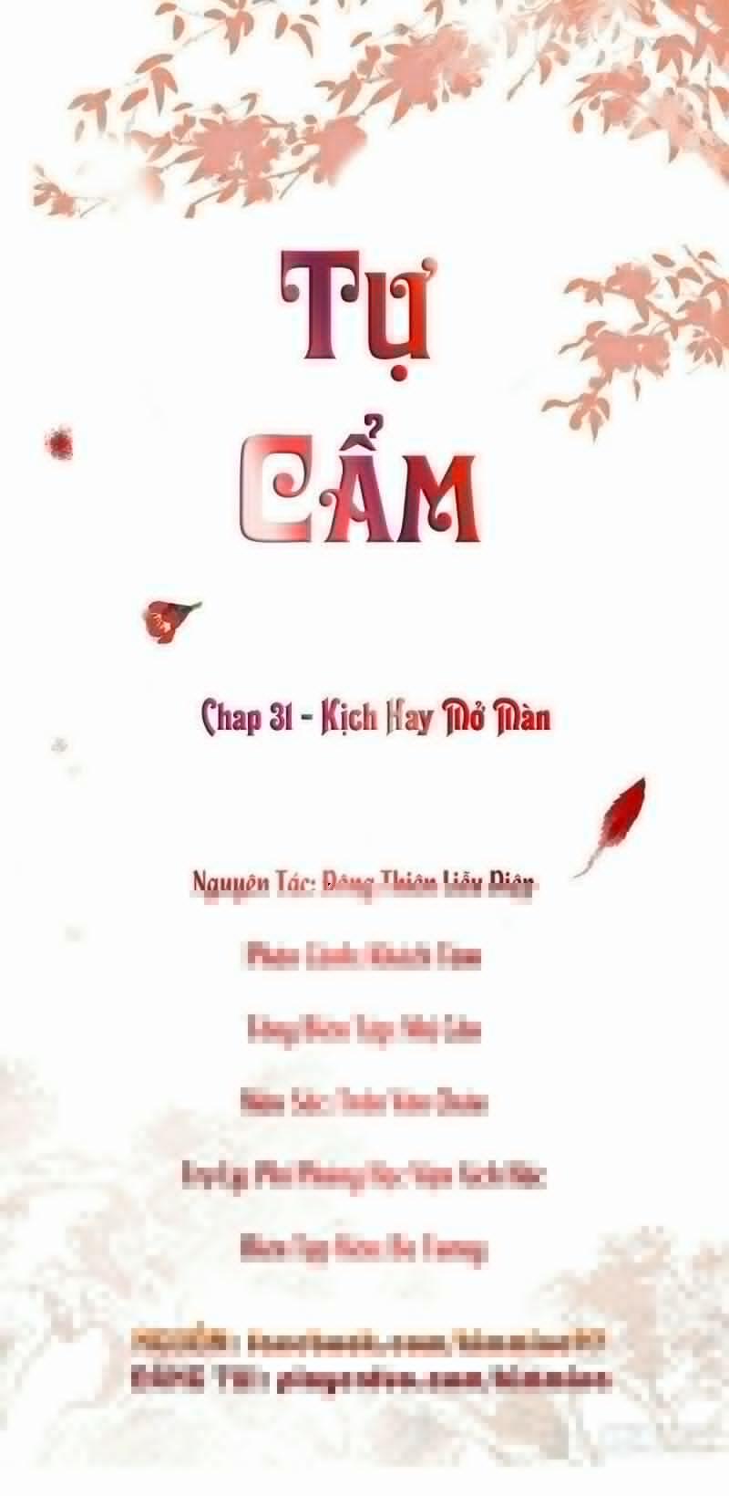Tự Cẩm 31 trang 1