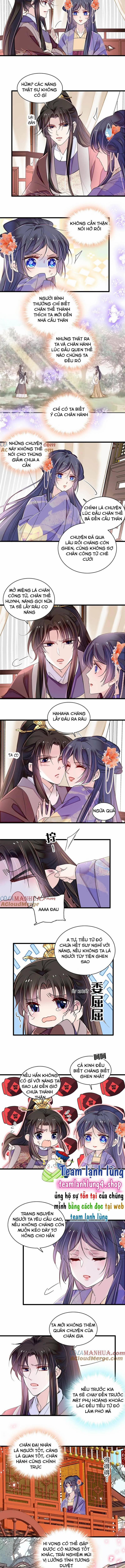 Tự Cẩm 312 trang 4