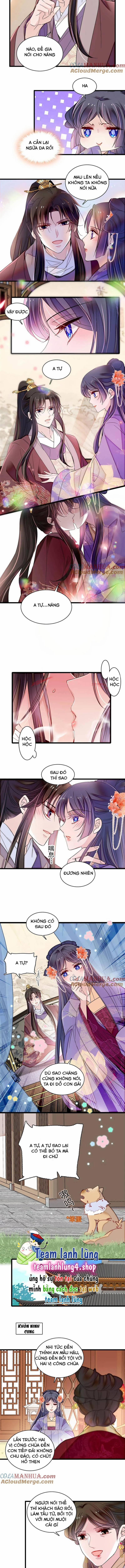 Tự Cẩm 313 trang 4