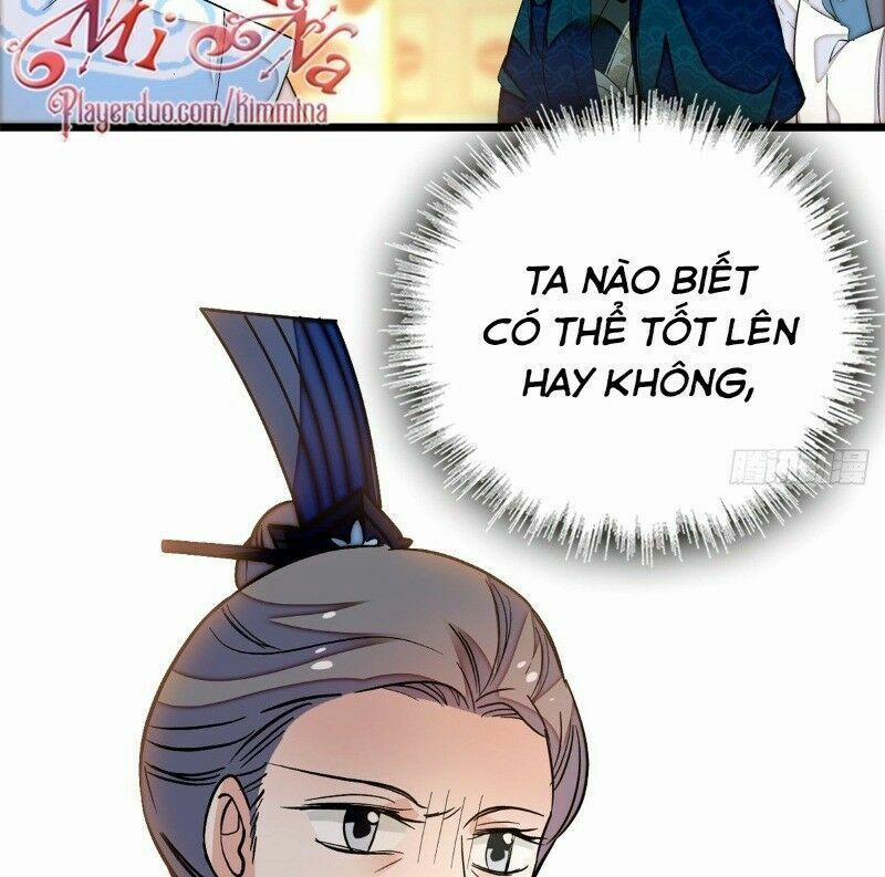 Tự Cẩm 33 trang 34