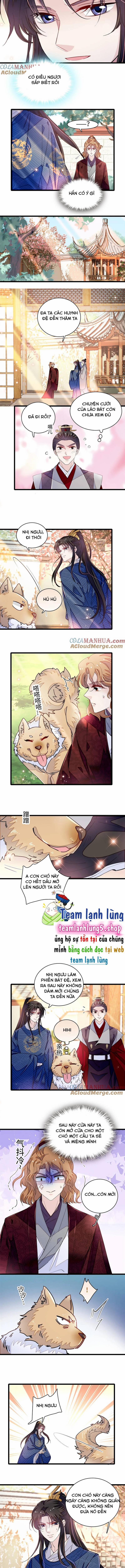 Tự Cẩm 330 trang 3