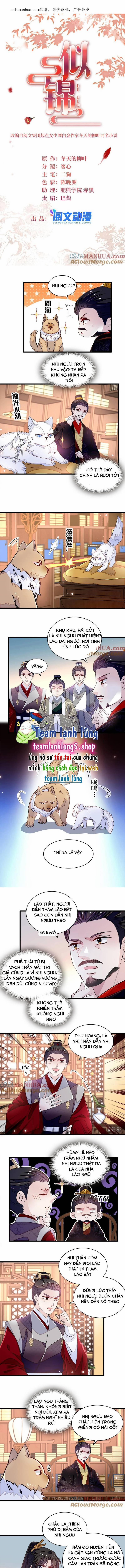 Tự Cẩm 334 trang 1