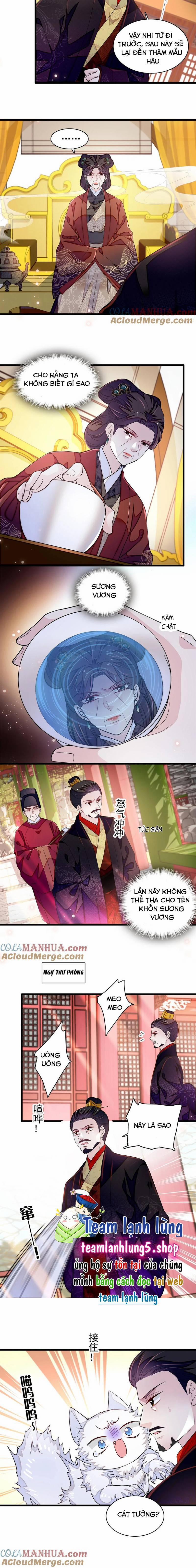 Tự Cẩm 334 trang 5