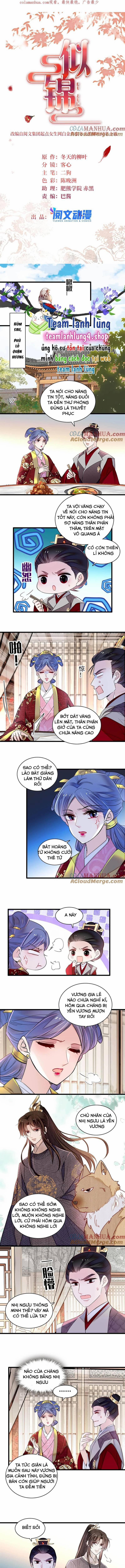 Tự Cẩm 336 trang 1