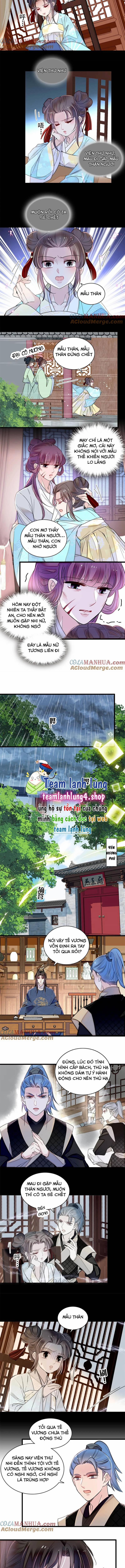 Tự Cẩm 337 trang 2