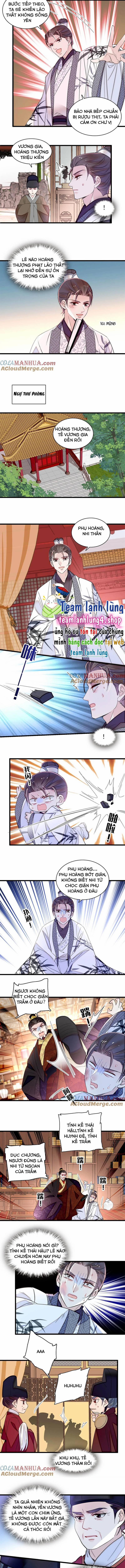 Tự Cẩm 341 trang 3