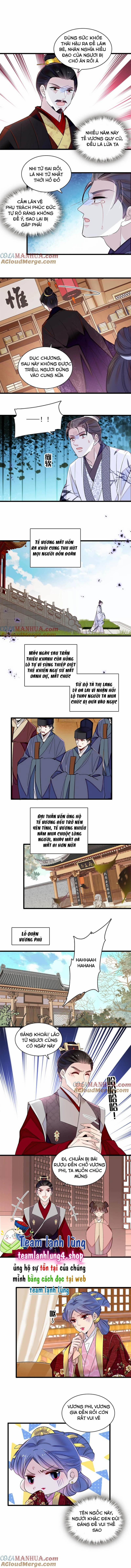 Tự Cẩm 341 trang 5