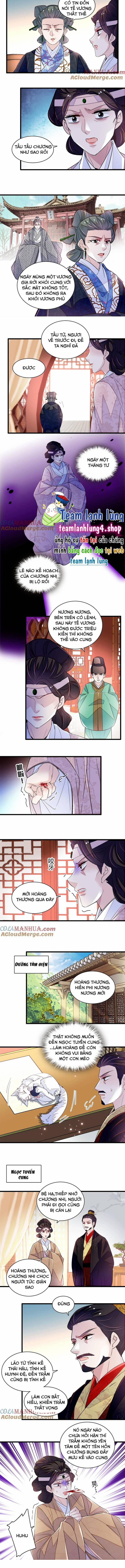 Tự Cẩm 342 trang 3