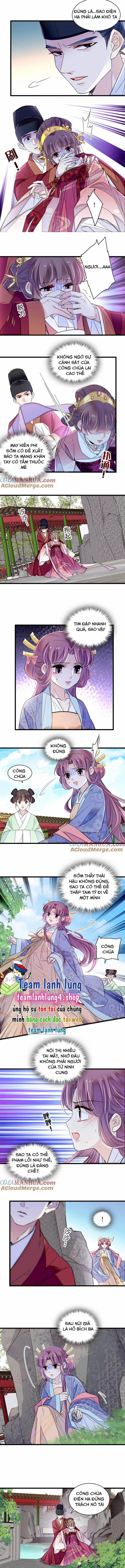 Tự Cẩm 344 trang 3