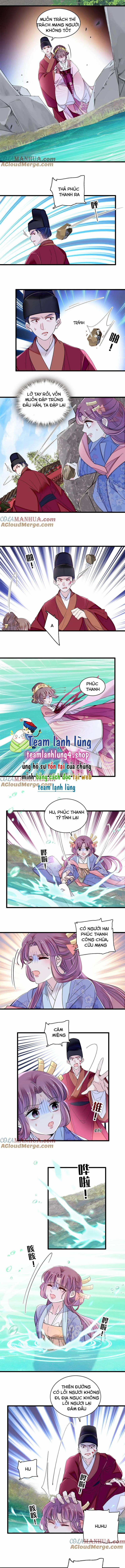 Tự Cẩm 344 trang 4