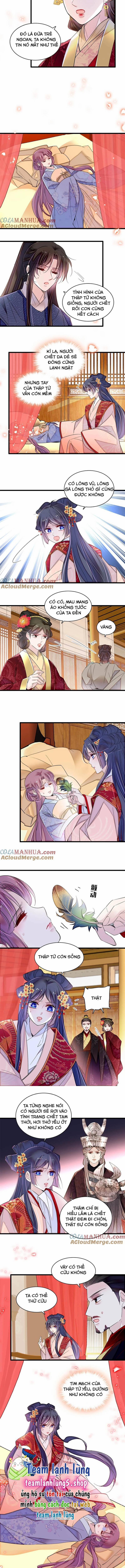 Tự Cẩm 345 trang 5