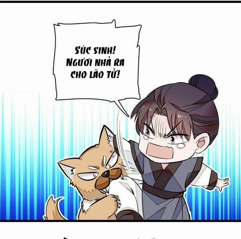 Tự Cẩm 35 trang 12