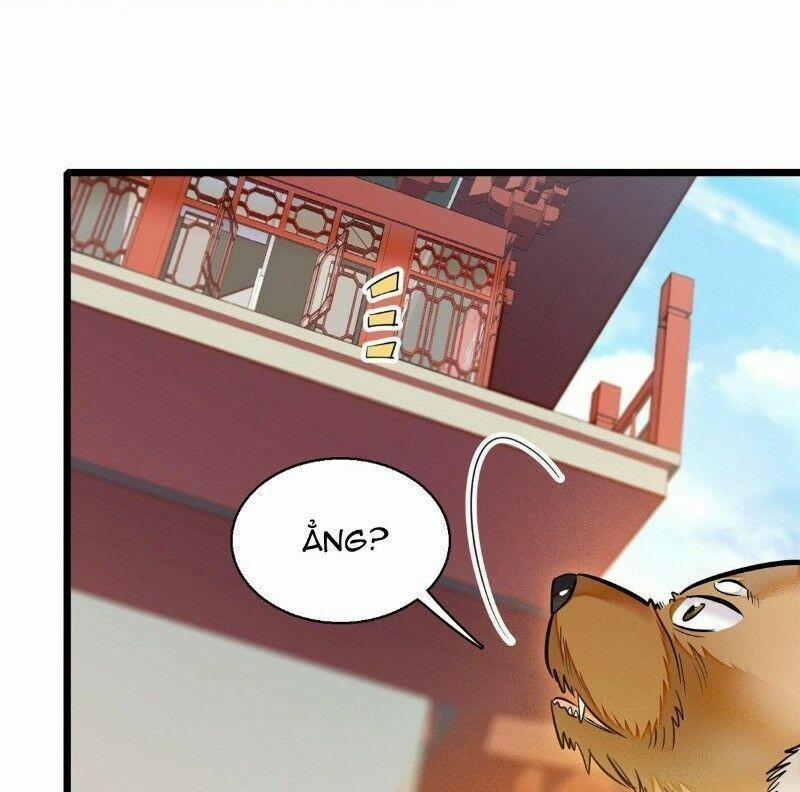 Tự Cẩm 35 trang 17