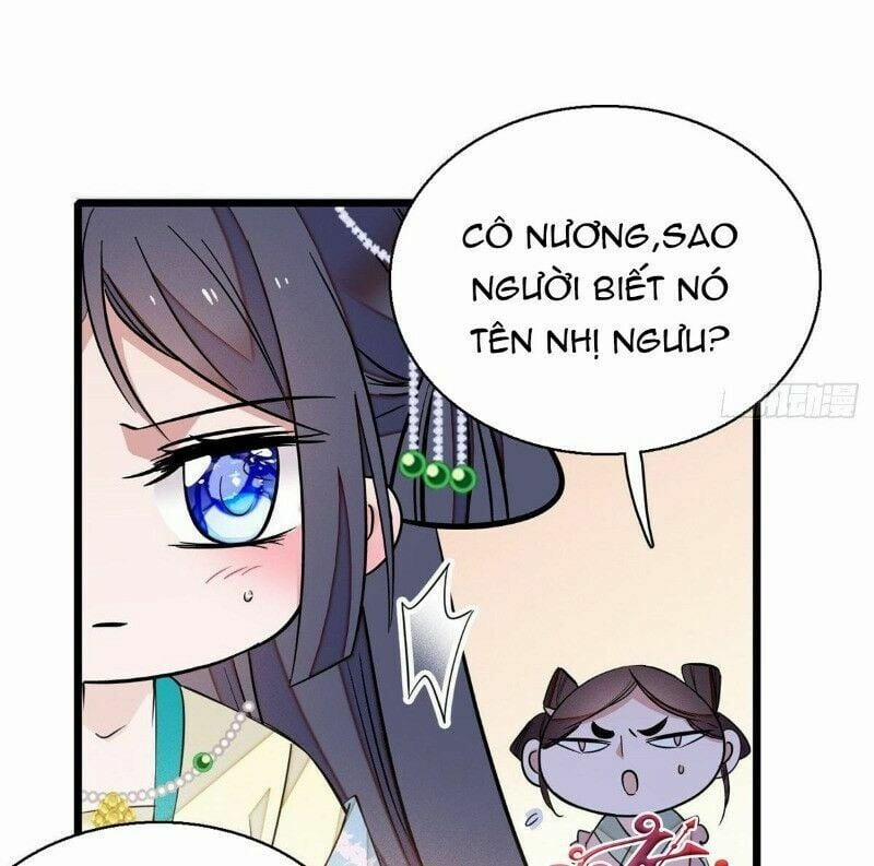 Tự Cẩm 35 trang 19