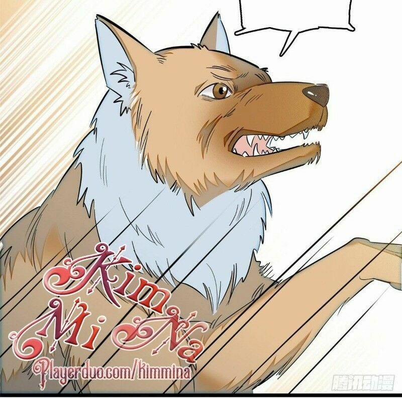 Tự Cẩm 35 trang 36