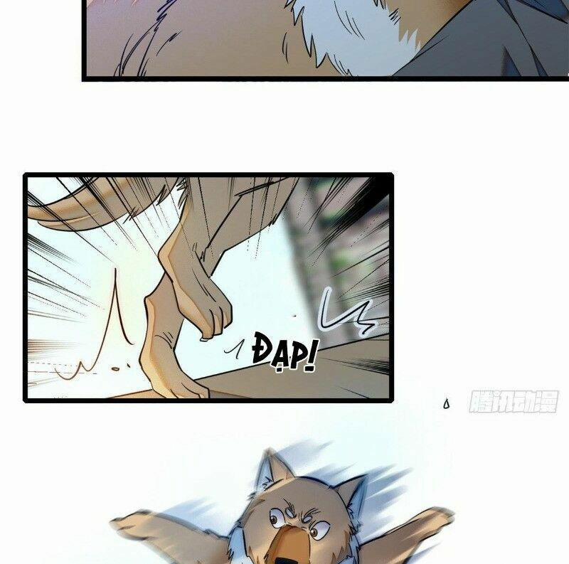 Tự Cẩm 35 trang 40