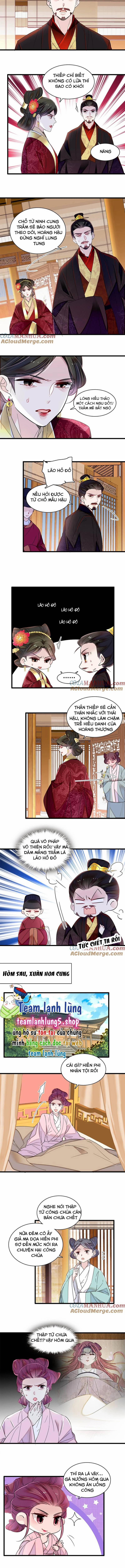 Tự Cẩm 351 trang 2