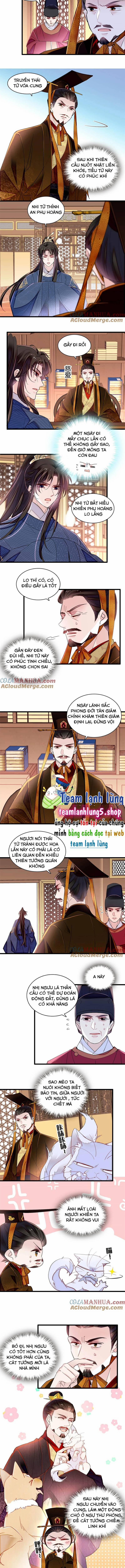 Tự Cẩm 357 trang 4