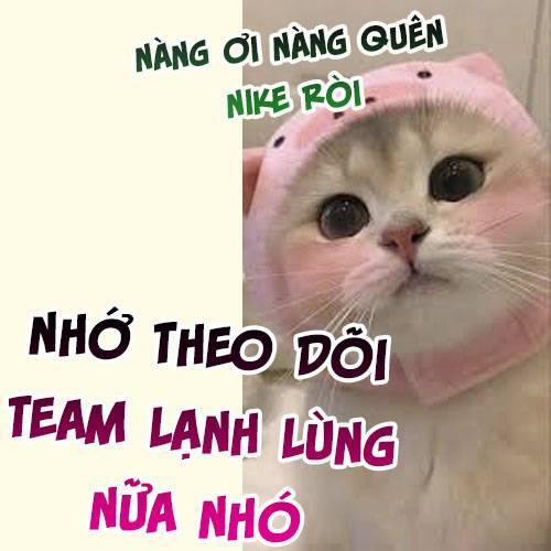 Tự Cẩm 363 trang 6