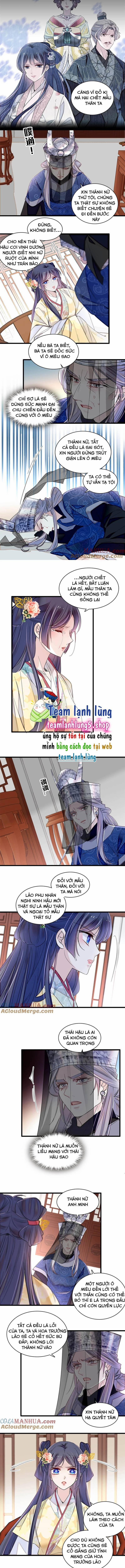 Tự Cẩm 367 trang 1