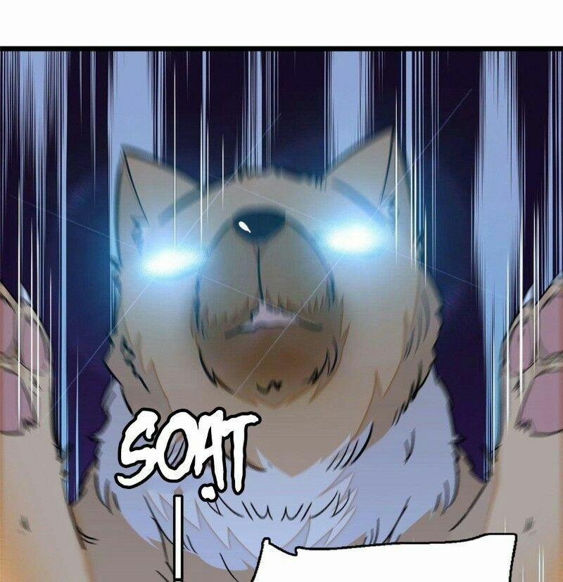 Tự Cẩm 37 trang 18