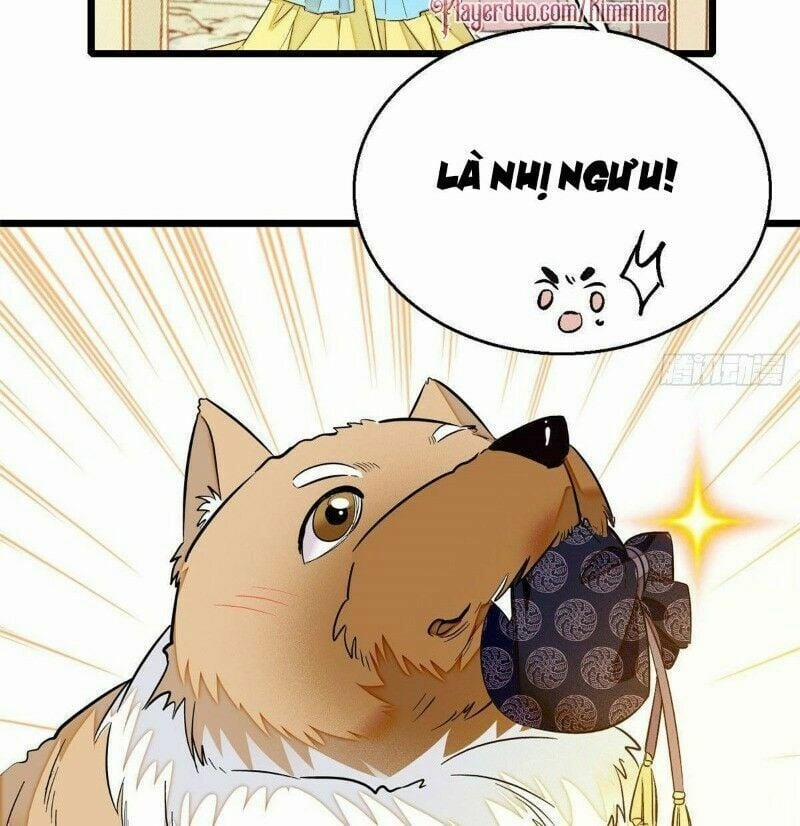 Tự Cẩm 37 trang 51