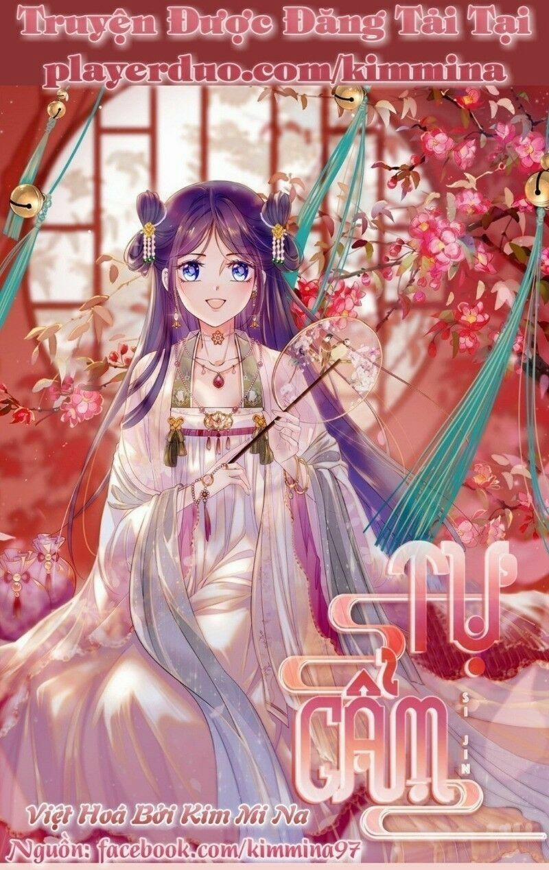 Tự Cẩm 38 trang 0