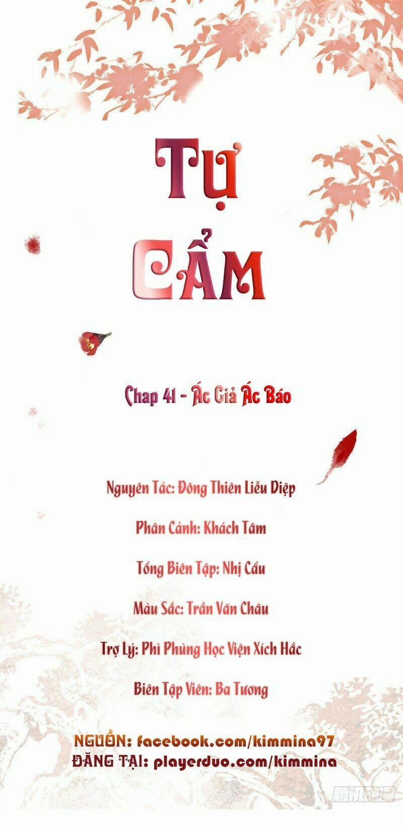 Tự Cẩm 41 trang 1