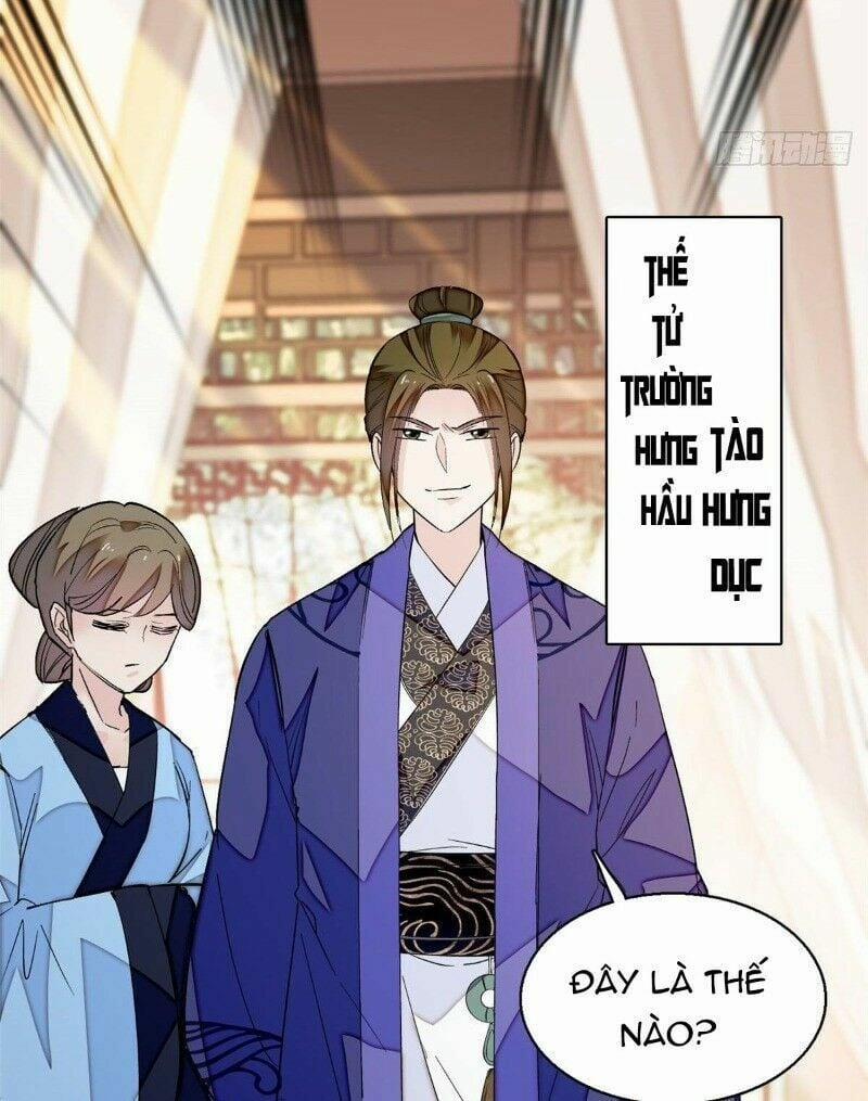 Tự Cẩm 43 trang 55