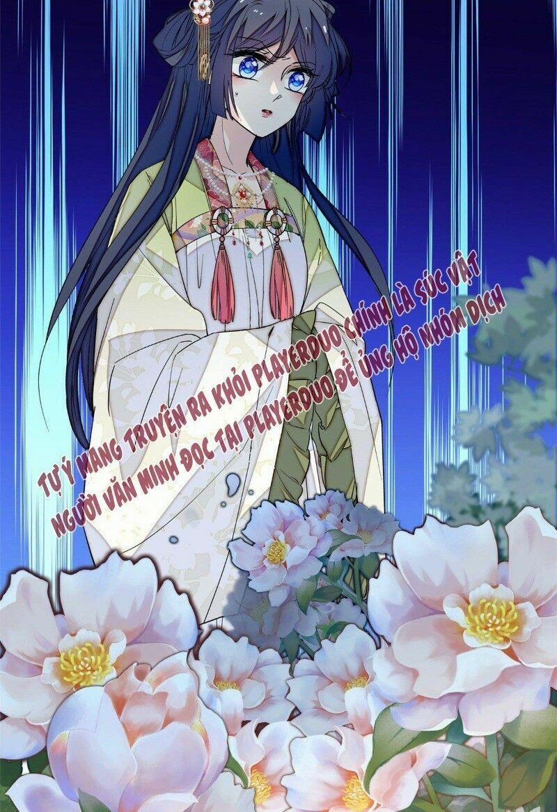 Tự Cẩm 43 trang 72