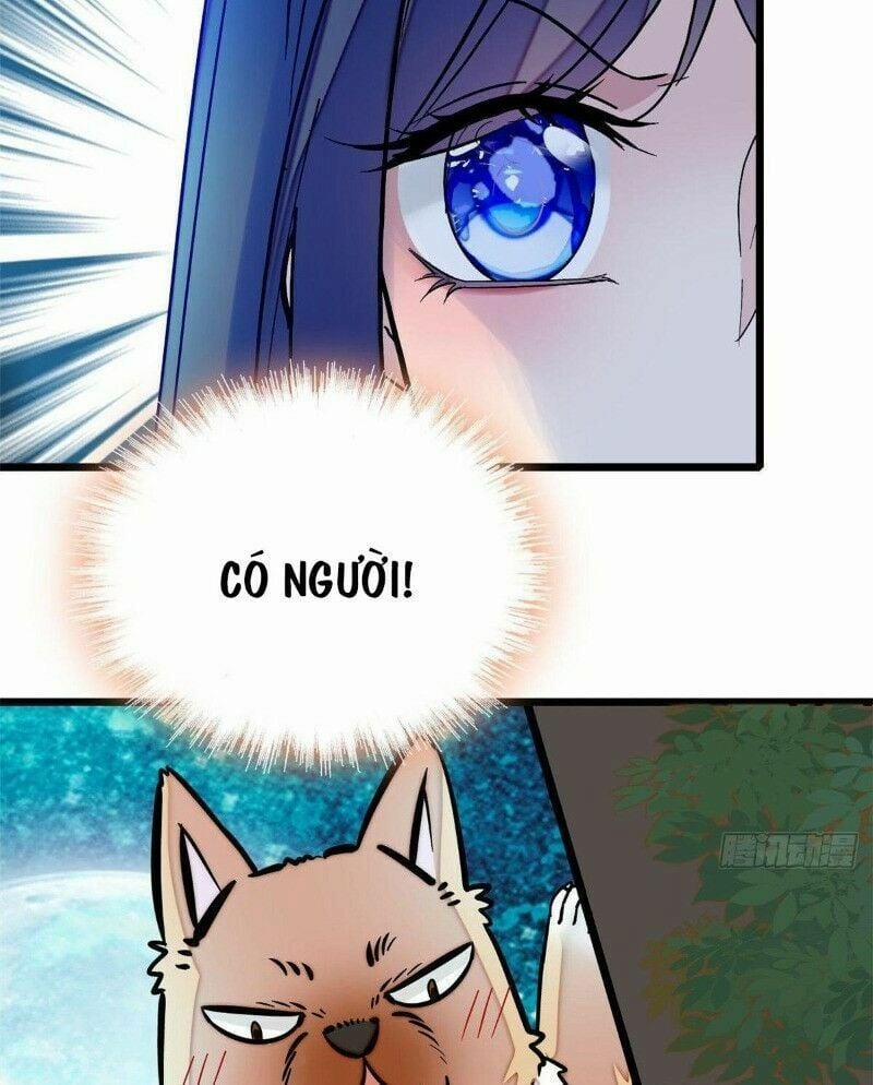 Tự Cẩm 46 trang 46