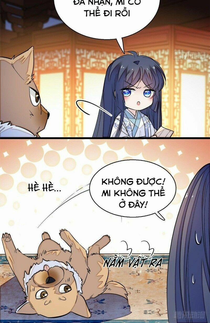 Tự Cẩm 47 trang 12