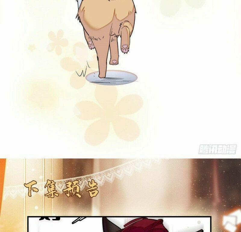 Tự Cẩm 48 trang 62