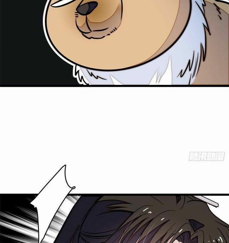 Tự Cẩm 51 trang 12