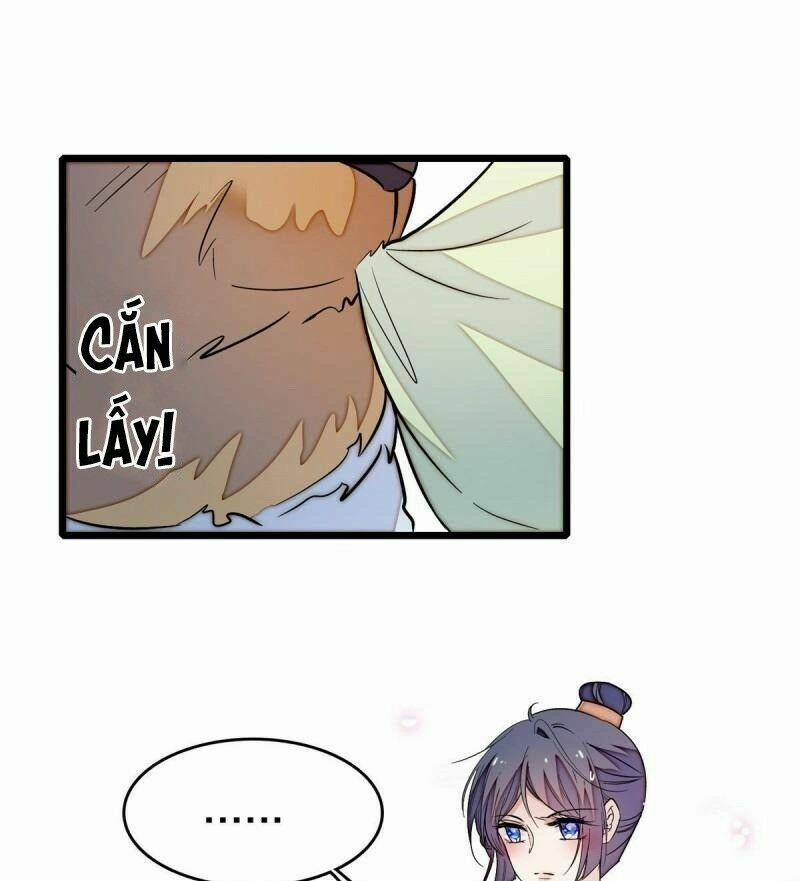 Tự Cẩm 51 trang 19