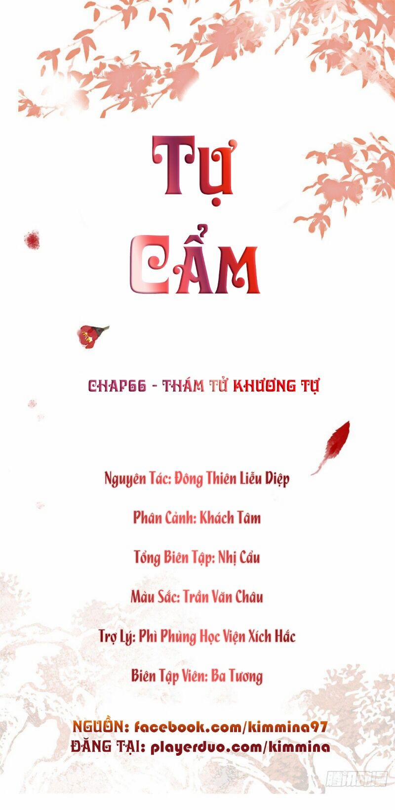 Tự Cẩm 66 trang 0