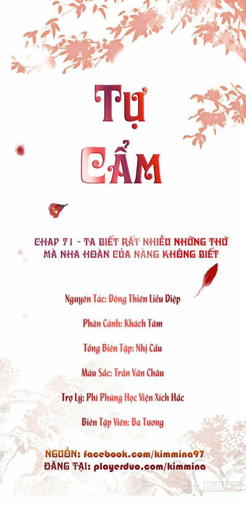 Tự Cẩm 71 trang 0