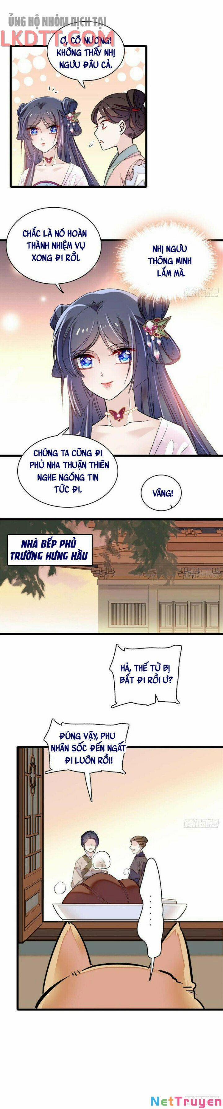 Tự Cẩm 75 trang 10