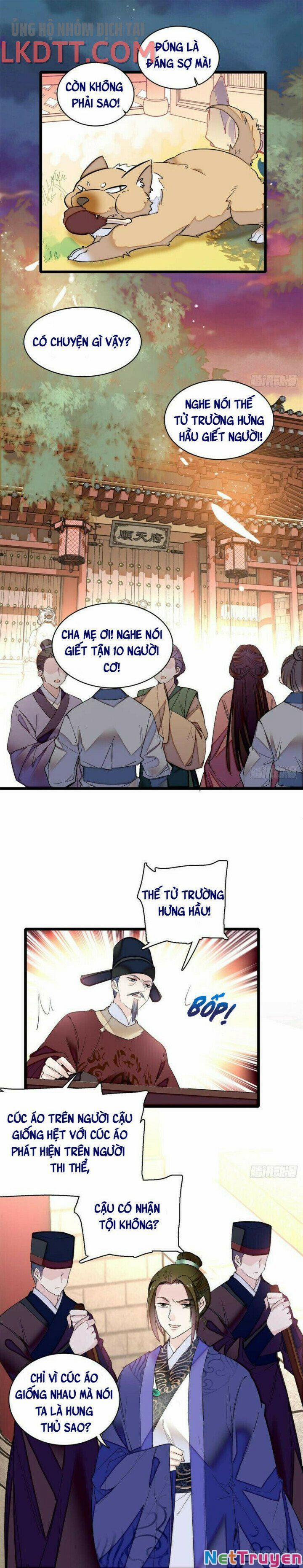 Tự Cẩm 75 trang 11