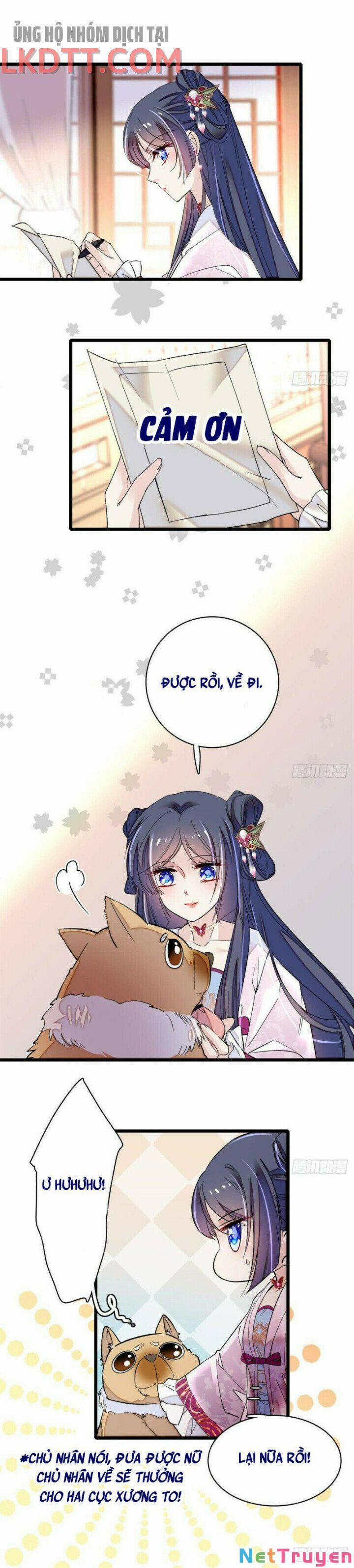 Tự Cẩm 76 trang 4