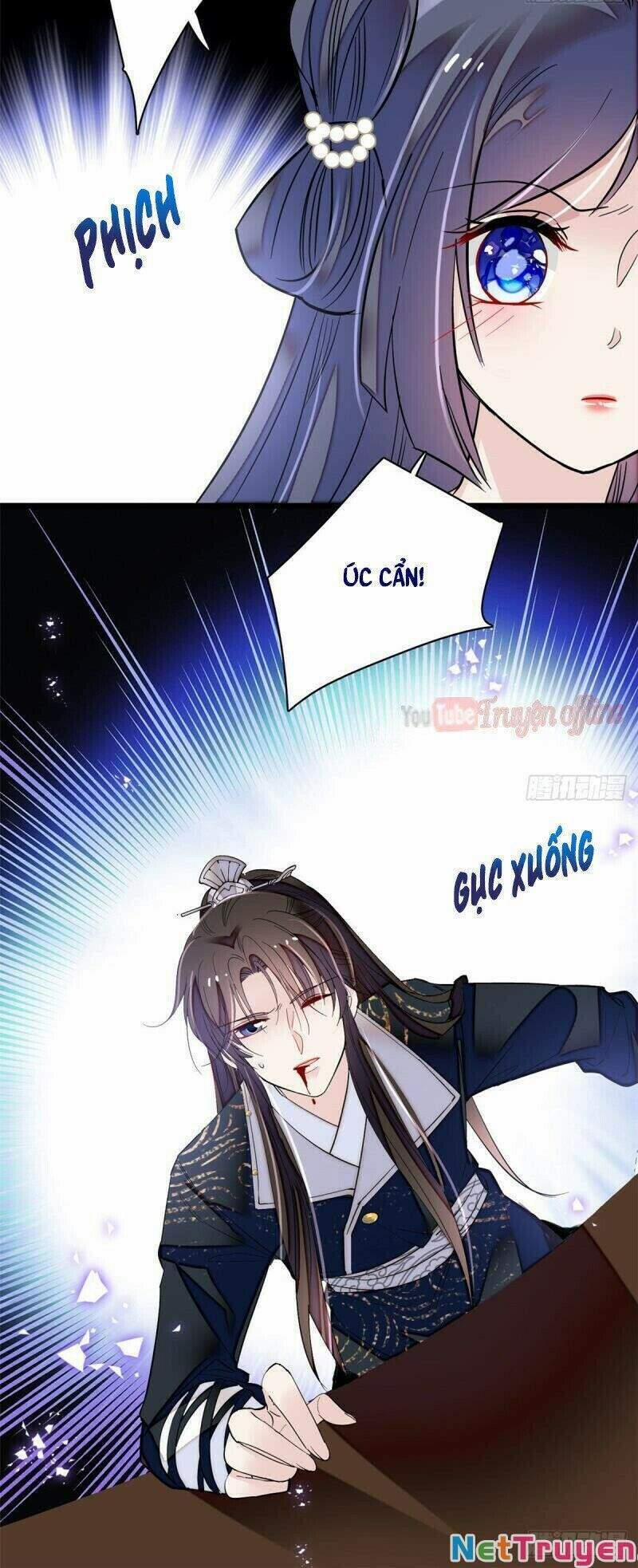 Tự Cẩm 84 trang 5