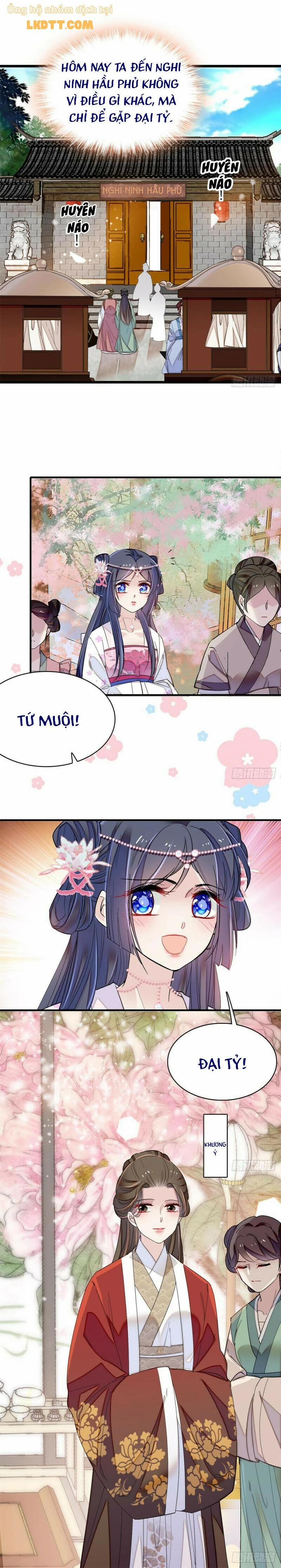 Tự Cẩm 87 trang 11