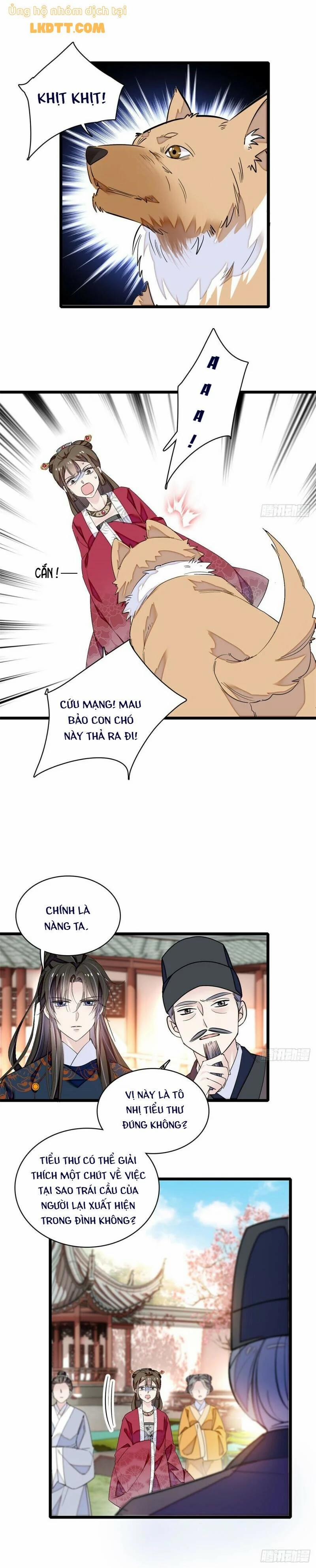 Tự Cẩm 91 trang 1