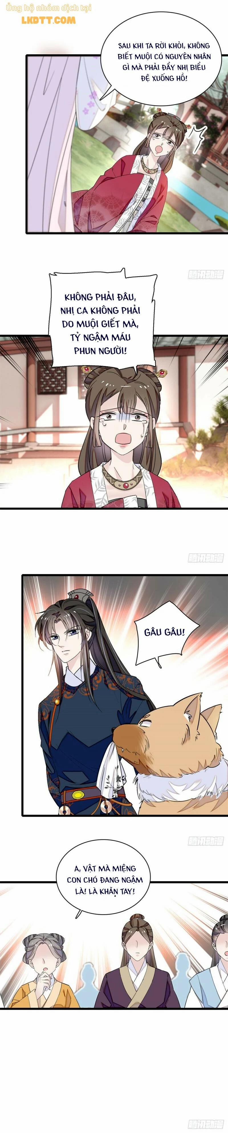 Tự Cẩm 91 trang 6